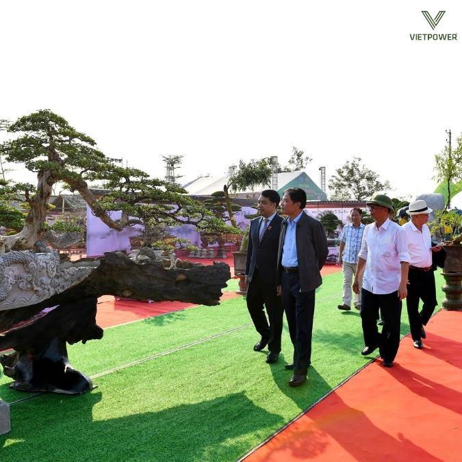 Tổ chức thực tế và giám sát đảm bảo festival diễn ra thành công