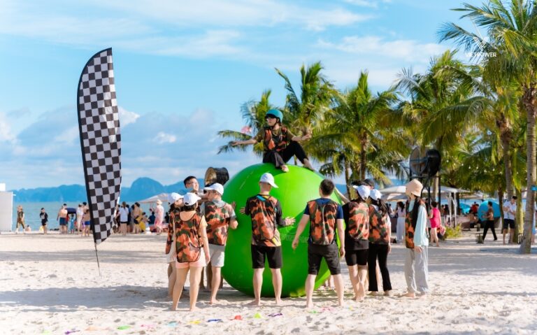 Tổ chức team building mới lạ – sáng tạo độc đáo nhất 2025