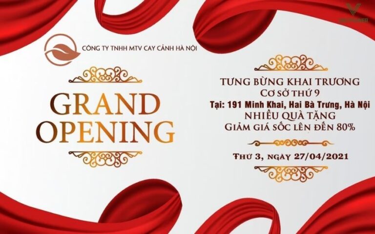 Mẫu thông báo khai trương chuyên nghiệp, tạo ấn tượng đầu tiên