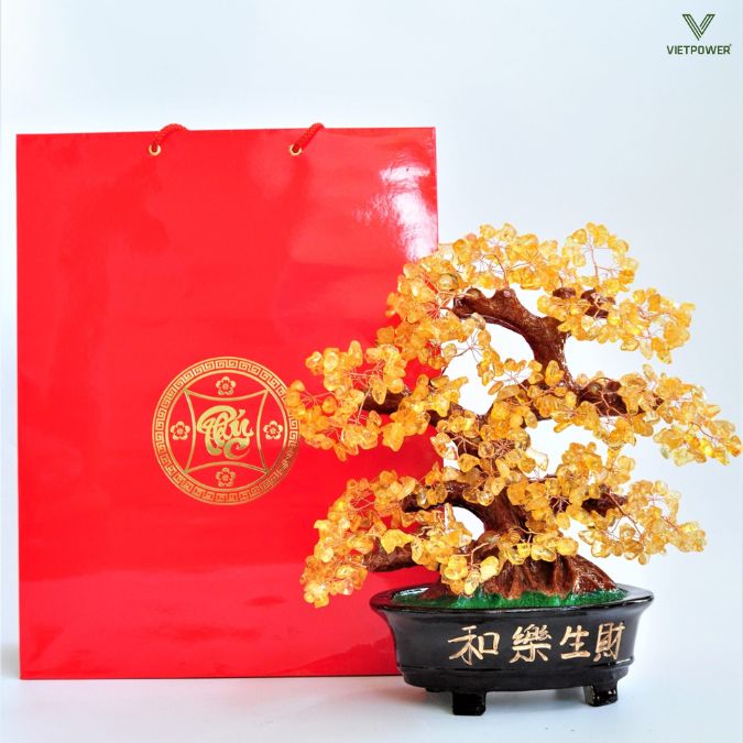 Cây đá phong thủy tài lộc