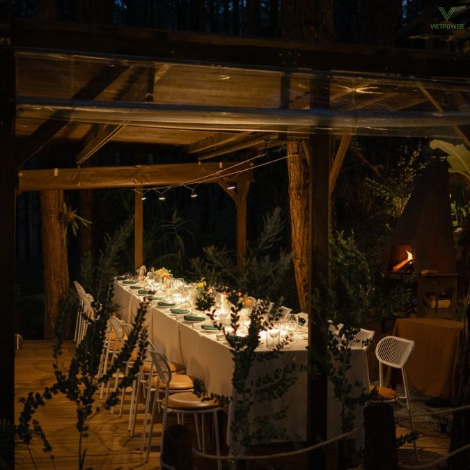 Rừng Thông Mơ Farm & Bistro được bao quanh bởi rừng thông