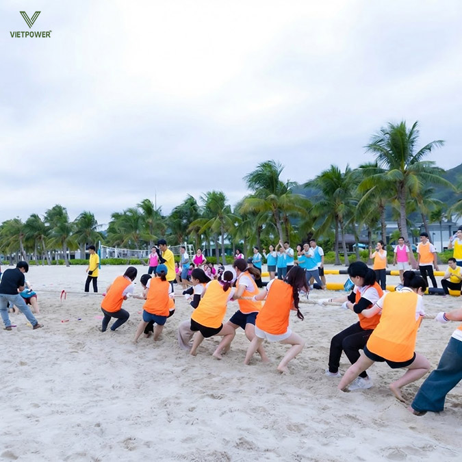 Hãy ưu tiên những công ty có bề dày hoạt động và danh sách khách hàng phong phú